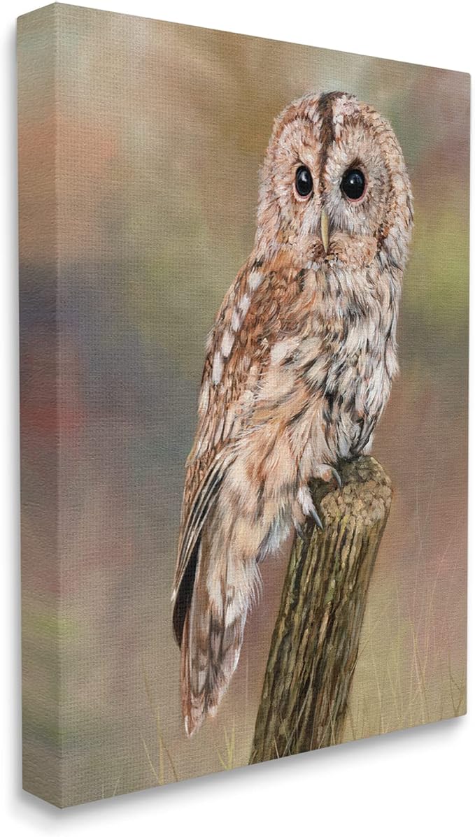 Tawny Owl Woodland Wildlife, 16 x 20 Inch Canvas Wall Art | Stupell Industries · By David Stribbling · Ready to hang · Cabin and lodge decor · Made in USA