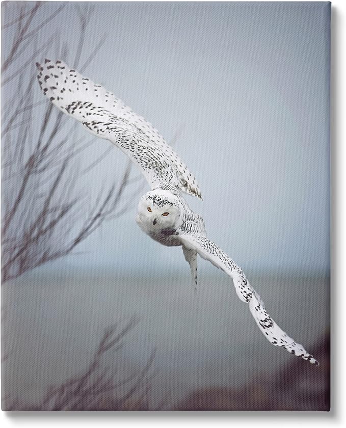 Majestic Snowy Owl Wildlife Photography, 30 x 40 Inch Canvas Wall Art | Stupell Industries · By Carrie Ann Grippo-Pike · Ready to hang · Nature inspired decor for any room · Made in USA