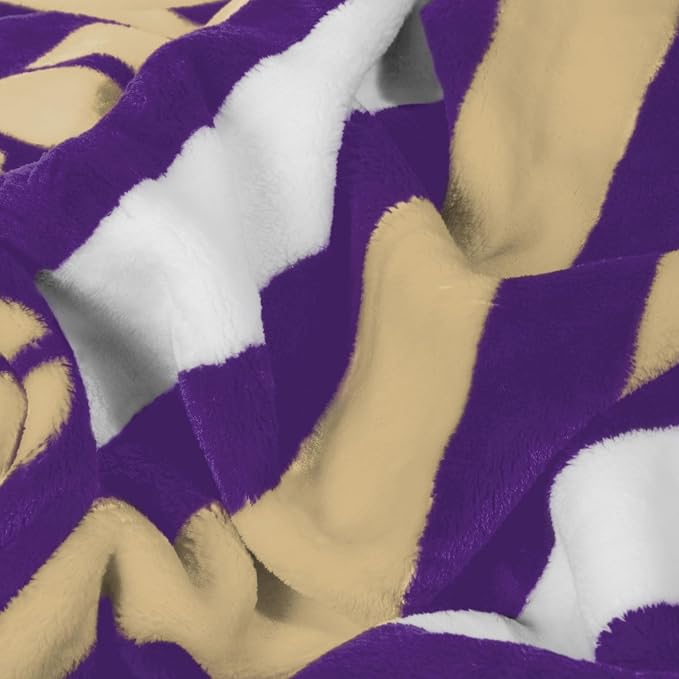 Logo Brands NCAA Raschel Throw Blanket – 50 x 60 Soft Fleece Blanket, Officially Licensed Collegiate Design, Cozy Throw for Tailgating, Game Day, & Home Décor