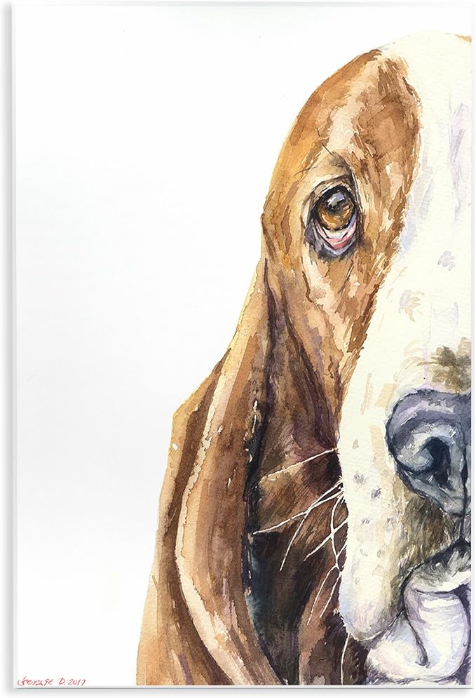 Cute Basset Hound Watercolor, 13 x 19 Inch Mounted Print on Wall Plaque | Stupell Industries | 13 x 19 Inches, Easy to Hang and Sturdy, Made in USA, by George Dyachenko