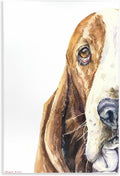 Cute Basset Hound Watercolor, 13 x 19 Inch Mounted Print on Wall Plaque | Stupell Industries | 13 x 19 Inches, Easy to Hang and Sturdy, Made in USA, by George Dyachenko