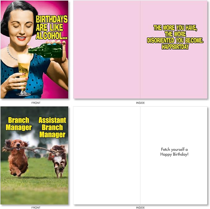 NobleWorks 20 Assorted Box Set Funny Birthday Notecards w/Envelopes for Men, Women (2x10 Designs) Naughty Humor A Very Funny Birthday AC5979BDG-B2x10