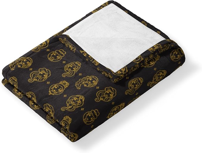 Northwest Disney Princess Silk Touch Throw Blanket, 50" x 60", Princess Icons