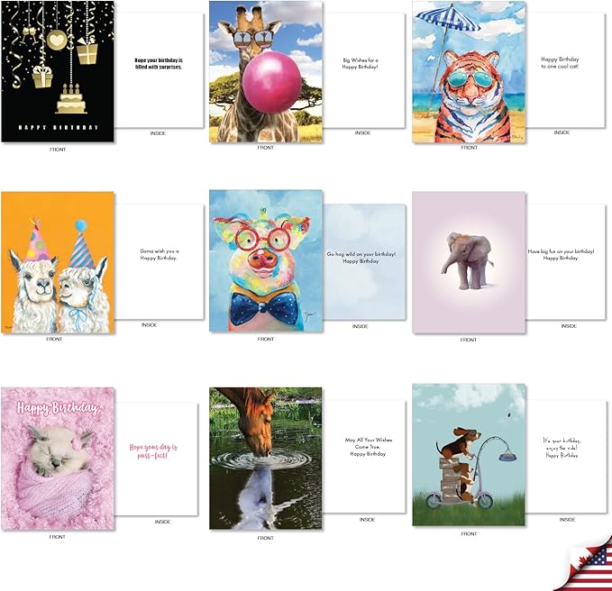 Best Card Co 36 Assorted Funny Birthday Notecards Bulk Box Set 4 x 5.12 Inch with Envelopes (36 Designs, 1 Each) Animals, B-Day Card Variety Pack A Bunch of Birthdays AM7744BDG-B1x36