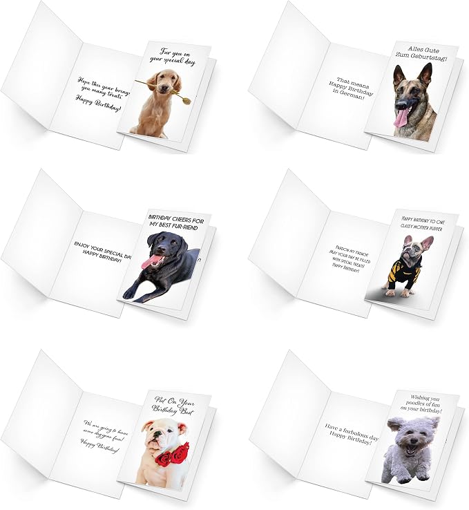 Prime Greetings 24 Funny Dog Birthday Card Assortment - Greeting Card Assortment - Funny Birthday Cards Bulk - Boxed Birthday Cards Box Set With Message inside, Made In America, Eco-Friendly