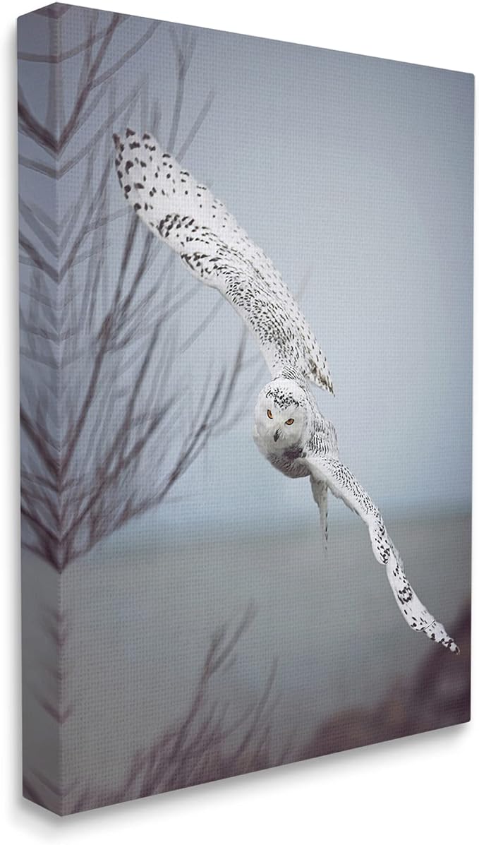 Majestic Snowy Owl Wildlife Photography, 30 x 40 Inch Canvas Wall Art | Stupell Industries · By Carrie Ann Grippo-Pike · Ready to hang · Nature inspired decor for any room · Made in USA