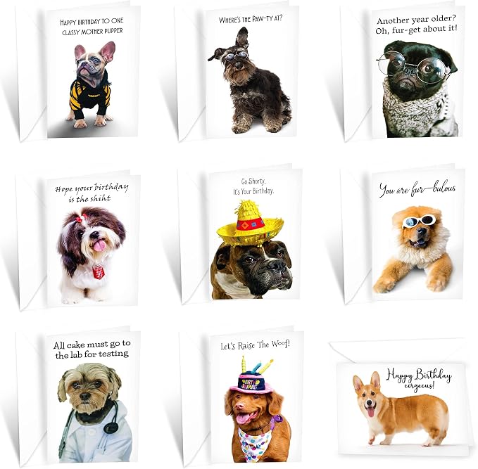 Prime Greetings 24 Funny Dog Birthday Card Assortment - Greeting Card Assortment - Funny Birthday Cards Bulk - Boxed Birthday Cards Box Set With Message inside, Made In America, Eco-Friendly