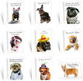 Prime Greetings 24 Funny Dog Birthday Card Assortment - Greeting Card Assortment - Funny Birthday Cards Bulk - Boxed Birthday Cards Box Set With Message inside, Made In America, Eco-Friendly