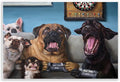 Funny Dogs Gaming Comic, 10 x 15 Inch Mounted Print on Wall Plaque | Stupell Industries · By Lucia Heffernan · Ready to hang · Great for game room or kids space · Made in USA