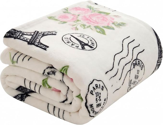 Oversized Plush Throw Blanket 60" x 70", Floral Paris Pink