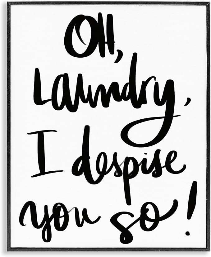 Stupell Industries 'Laundry I Despise You', Framed Giclee Art, Black, 16 x 20 Inches, Easy to Hang and Sturdy, Made in USA, by SD Graphics Studio | Stupell Industries | Black, 16 x 20 Inches, Easy to Hang and Sturdy, Made in USA, by SD Graphics Studio