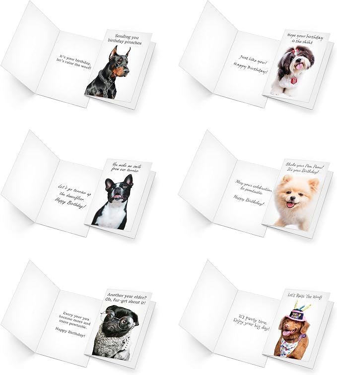 Prime Greetings 24 Funny Dog Birthday Card Assortment - Greeting Card Assortment - Funny Birthday Cards Bulk - Boxed Birthday Cards Box Set With Message inside, Made In America, Eco-Friendly