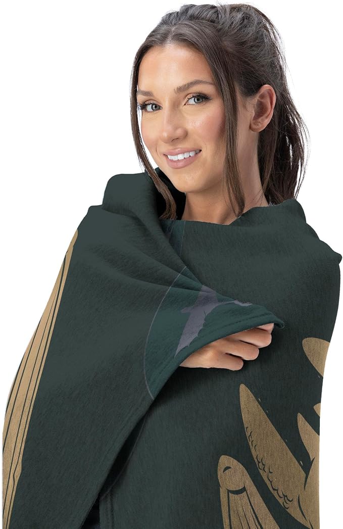 How to Train Your Dragon Hiccup and Toothless Silk Touch Throw Blanket 60×80 inches