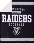 FOCO NFL Unisex-Adult NFL Team Logo Property 60" x 50" Sherpa Plush Throw Blanket