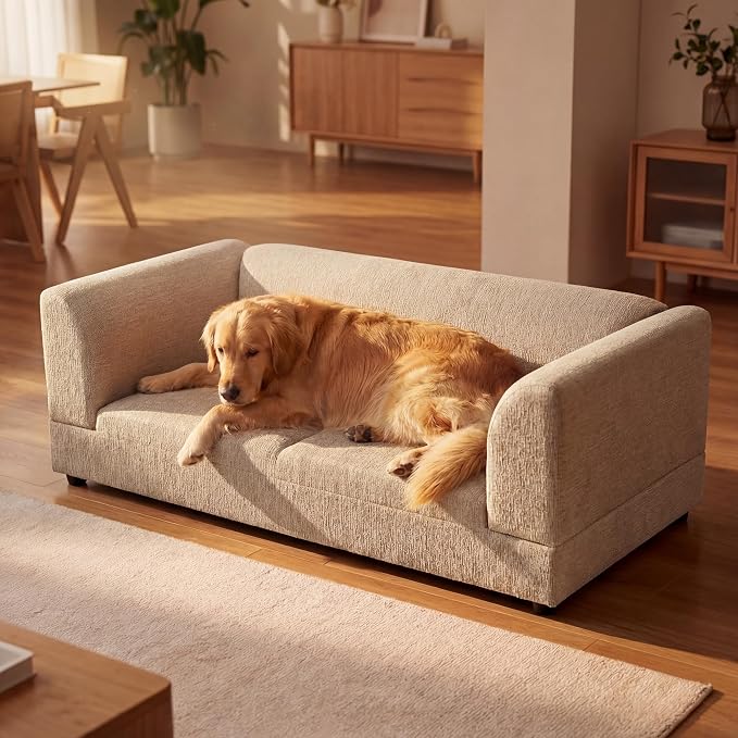 56.5" Dog Sofa Couch for Medium and Large Dogs with Backrest and Armrest, Memory Foam Dog Sofa Bed, Modern Elevated Pet Couch Bed with Legs for Dogs, Beige