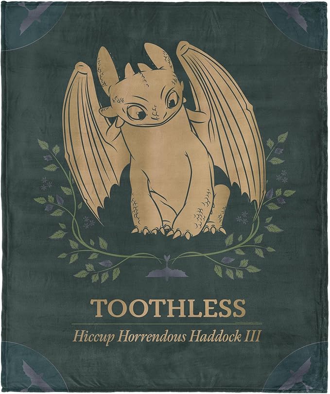 How to Train Your Dragon Hiccup and Toothless Silk Touch Throw Blanket 60×80 inches