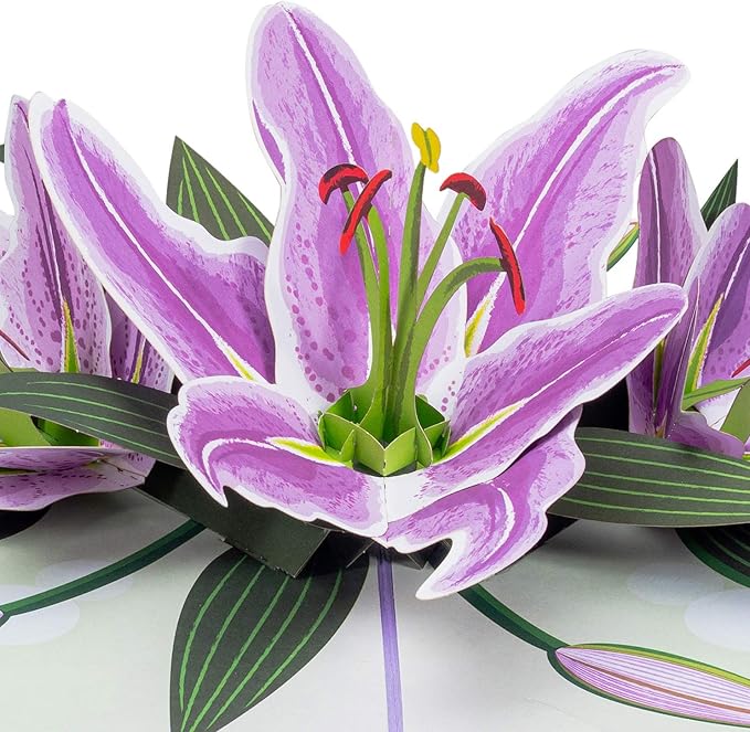 Paper Love Pop Up Cards 2 Pack - Includes 1 Lilies and Flower Truck, for All Occasions, Mother Day, Birthday, Just Because- Includes Envelope and Note Tag