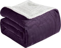 Elegant Comfort Ultra Soft Reversible Flannel Sherpa Blanket - Cozy Silky Fleece Throw for Couch, Bed - Plush Fuzzy Warm Winter Blanket for Gift, Queen, Purple