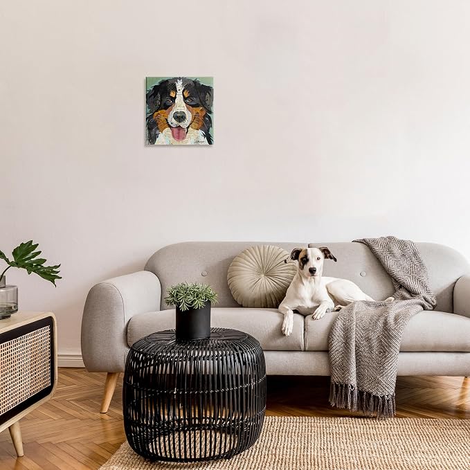 Bernese Mountain Dog Collage, 17 x 17 Inch Canvas Wall Art | Stupell Industries · By Traci Anderson · Ready to hang · Great for pet lovers · Made in USA