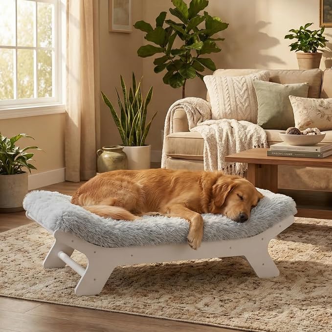 Muihood Elevated Wooden Dog Bed with Foam Mattress, White, Large | Raised Dog Bed with Washable Cover, Supportive Foam Mattress, Perfect for Large Dogs and Indoor Living