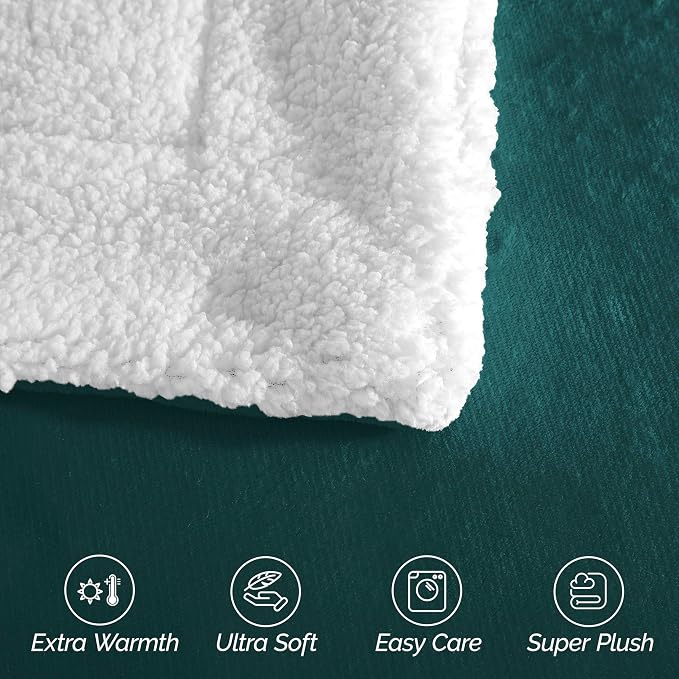 Elegant Comfort Ultra Soft Reversible Flannel Sherpa Blanket - Cozy Silky Fleece Throw for Couch, Bed - Plush Fuzzy Warm Winter Blanket for Gift, Twin XL, Turquoise