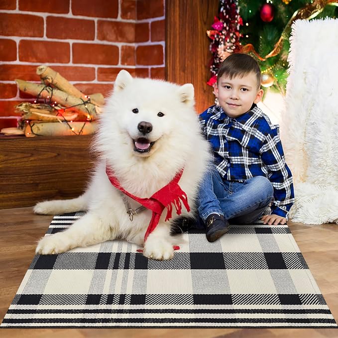 Buffalo Plaid Outdoor Rug 2x3 Check Black and Off White Grid Front Porch Door Mats Checkered Rug Washable Indoor Outdoor Rug Layered Area Rug for Entryway Farmhouse Decor Carpet