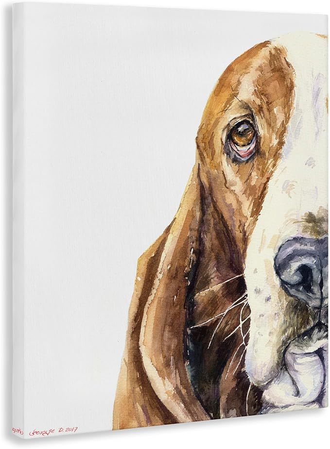 Stupell Industries 'Cute Basset Hound Pet Watercolor', Canvas Art, 30 x 40 Inches, Easy to Hang and Sturdy, Made in USA, by George Dyachenko