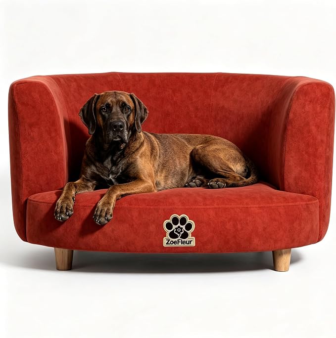 2-in-1 Human & Pet Shared Curved Dog Sofa, Solid Pine Leg Frame with High Resilience Foam, Indoor Pet Furniture(Orange)