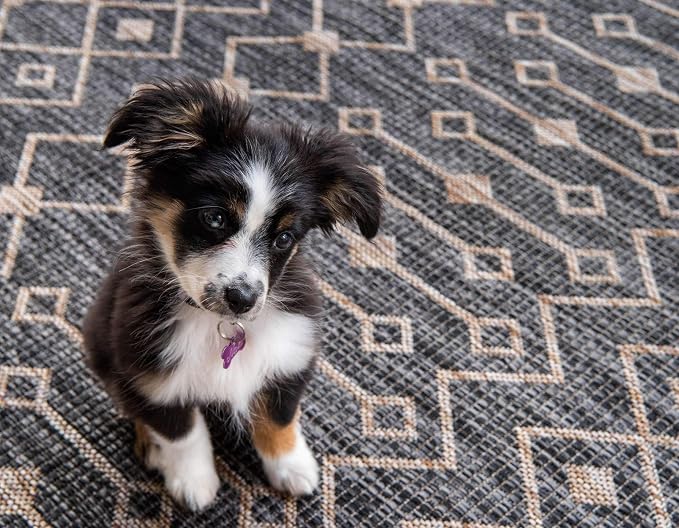 Unique Loom Outdoor Trellis Collection Area Rug - Tribal Trellis (8' x 11' 4" Rectangle, Charcoal Gray/ Natural)