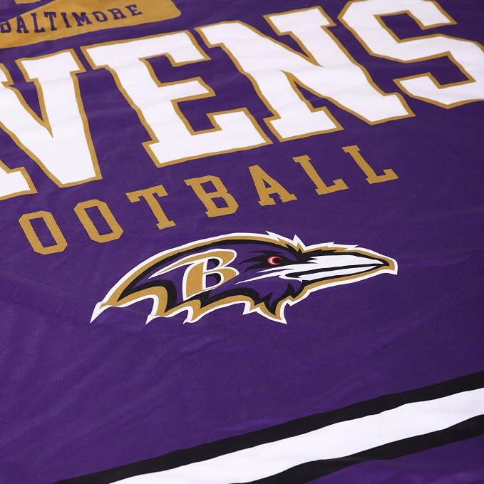 FOCO NFL Unisex-Adult NFL Team Logo Property 60" x 50" Sherpa Plush Throw Blanket
