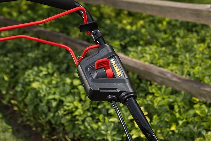 Snapper 21" SP Walk Mower Kit with Worx 12 Amp 7.5" Electric Lawn Edger