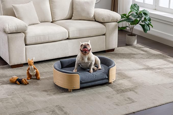 Scandinavian Dog Bed Mid-Century Pet Sofa with Velvet Cushion & Solid Wood Legs, Removable Cover, 30.7” for Medium Dogs, Natural Frame & Dark Grey Cushion