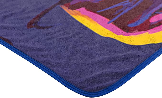 Northwest Teenage Mutant Ninja Turtles Micro Raschel Throw Blanket, 46" x 60", Mayhem Rules