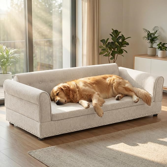 55" Dog Sofa for Medium to Large Dogs, Button Tufted Dog Couch Bed with Backrest and Armrests, Durable Memory Foam Pet Bed, Removable Cushion for Medium and Large Dogs,Beige