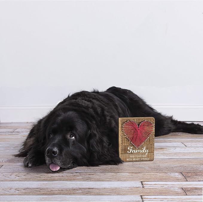 Primitives by Kathy Distressed Wood Slat Sign - 'Family Tied Together' with Hand-Strung Heart, Wall Art & Desk Decor for Home