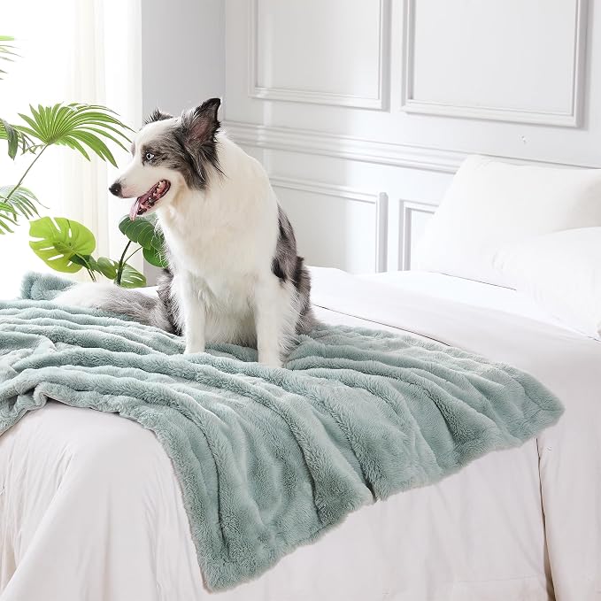 Modern Threads Water-Resistant Faux Rabbit Fur Pet Blanket for Dogs & Cats – Ultra-Soft Couch, Bed & Crate Protector, 50x60 Light Blue