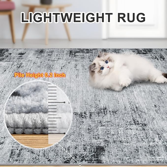 8x10 Area Rugs for Living Room - Washable Rug Modern Abstract Soft Large Neutral Non-Slip Carpet Indoor Floor Thin Carpets for Bedroom Dining Room Farmhouse Nursery Home Office Black