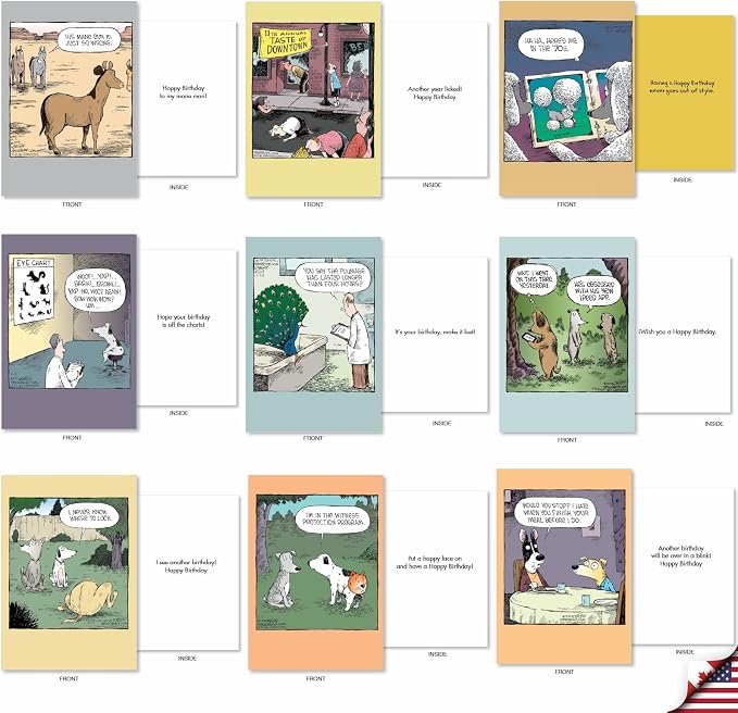NobleWorks 36 Assorted Funny Birthday Cards in Bulk Box Set with Envelopes Dave Coverly Cartoon Humor Cake Time for Men and Women AC9375BDG-B1x36
