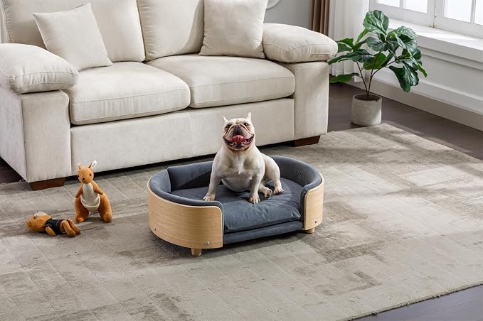 Pet Sofa Bed for Small Medium Dogs Cats, Removable Washable Plush Cushion Elevated Anti-Slip Durable Pet Couch Lounge Furniture for Living Room Bedroom (Dark Gray, Medium)