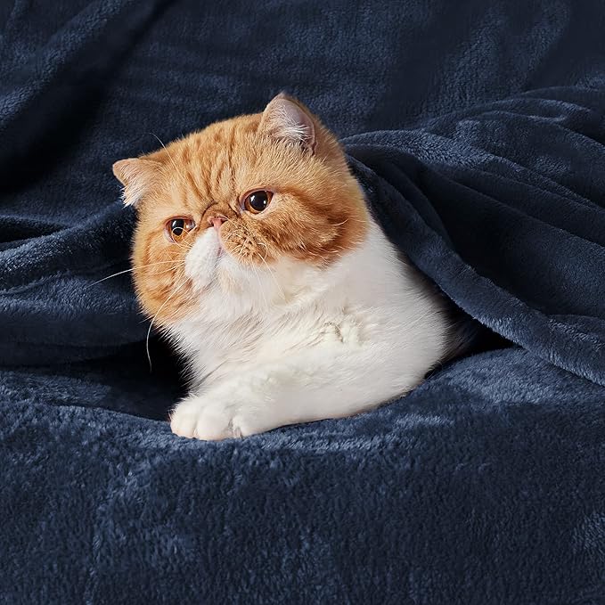Bedsure GentleSoft Fleece Blanket Twin Size Navy Blue - 300GSM Lightweight Plush Fuzzy Cozy Soft Warm Blanket for Bed, Sofa, Couch, Travel, Camping, 60x80 inches