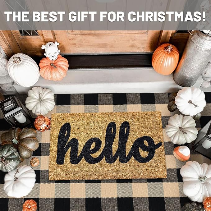 IOHOUZE Buffalo Plaid Checkered Rug 3x5 Ft Front Door Mats, Washable Area Rugs for Front Porch, Welcome Mats Indoor Outdoor, Entryway Rug for Entryway, Home Entrance, Tan Black