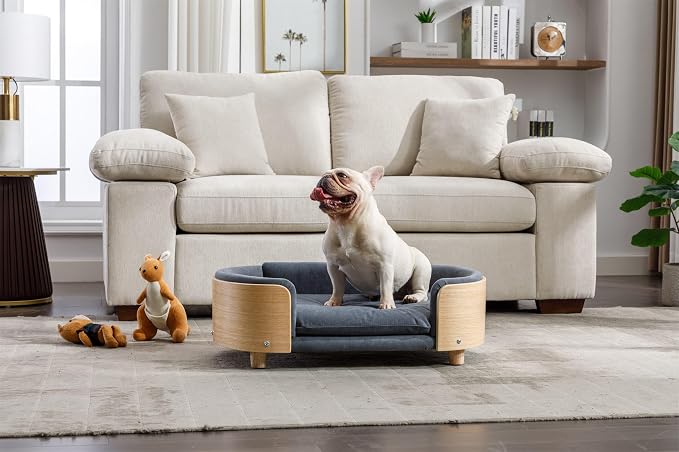 Scandinavian Dog Bed Mid-Century Pet Sofa with Velvet Cushion & Solid Wood Legs, Removable Cover, 30.7” for Medium Dogs, Natural Frame & Dark Grey Cushion
