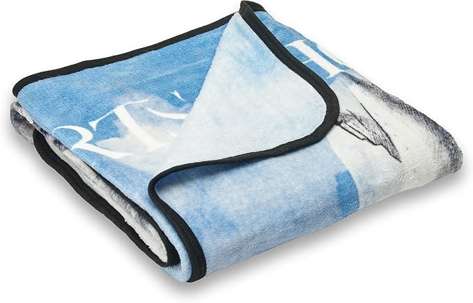 Northwest Harry Potter Micro Raschel Throw Blanket, Lightweight Breathable for Couch, Sofa, Cozy for All Seasons 46" x 60", Witchcraft and Wizardry
