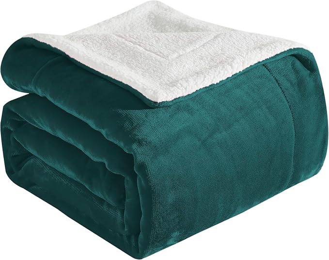 Elegant Comfort Ultra Soft Reversible Flannel Sherpa Blanket - Cozy Silky Fleece Throw for Couch, Bed - Plush Fuzzy Warm Winter Blanket for Gift, Twin XL, Turquoise