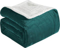 Elegant Comfort Ultra Soft Reversible Flannel Sherpa Blanket - Cozy Silky Fleece Throw for Couch, Bed - Plush Fuzzy Warm Winter Blanket for Gift, Queen, Turquoise