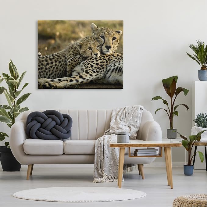 Stupell Industries Cheetah Family Mother with Cub, Designed By Joe McDonald / � DanitaDelimont.com, 48 x 36, Canvas Wall Art | Stupell Industries · Ready to hang · Nature inspired decor · Made in USA
