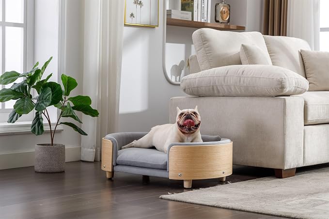 Scandinavian Dog Bed Mid-Century Pet Sofa with Velvet Cushion & Solid Wood Legs, Removable Cover, 30.7” for Medium Dogs, Natural Frame & Light Grey Cushion