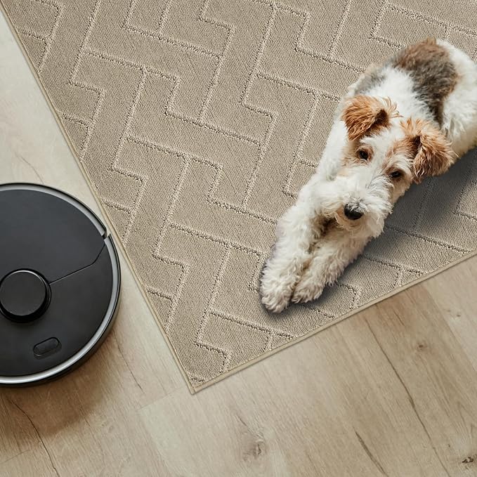 PURRUGS Easy Care Area Rug 4ft x 6ft, Non-Slip Machine Washable Entry Rug, Dog Door Mat, Stain Resistant Accent Rug for Hallway, Bedroom, Living Room and Mudroom, Taupe