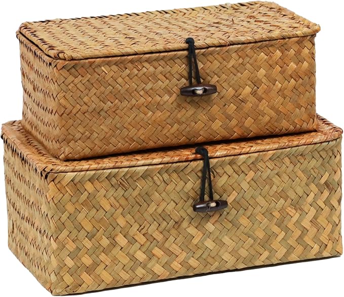 Seagrass Wicker Storage Baskets with Lids, Set of 2, Natural | Small and Medium Storage Boxes, Shelf Organizer Bins, Rectangular Woven Design, Multipurpose Home Storage, Natural Decor
