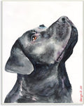 Black Labrador Watercolor, 10 x 15 Inch Mounted Print on Wall Plaque | Stupell Industries · By George Dyachenko · Ready to hang · Easy gift for pet lovers · Made in USA